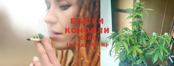 индика Верея