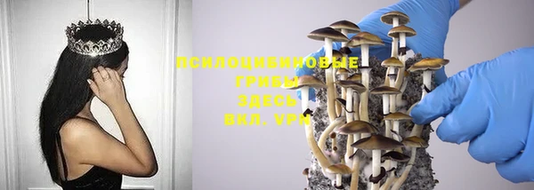 дурь Богородицк