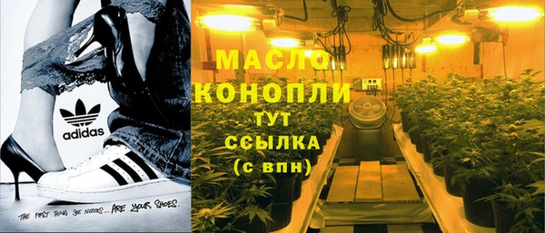 дмт Богданович