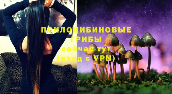 синтетический гашиш Верхний Тагил