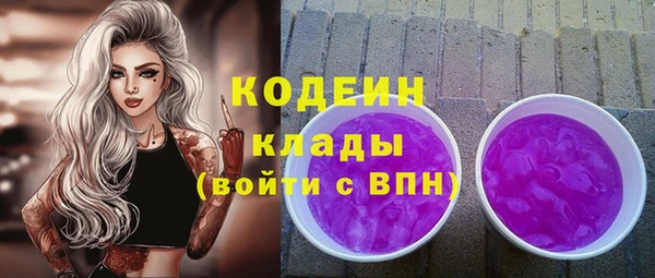 дмт Богданович
