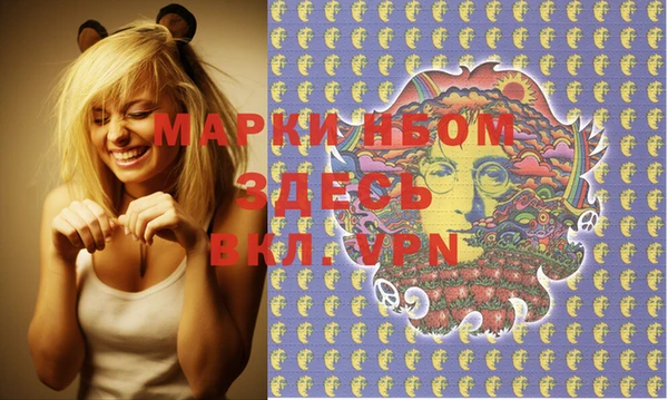 индика Верея