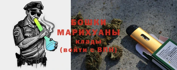 дмт Богданович