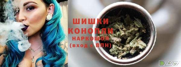 дмт Богданович