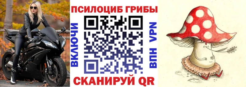 Галлюциногенные грибы MAGIC MUSHROOMS  Киселёвск 